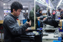 浙江慈溪：阐扬平易近营经济劣势 帮力外贸进出